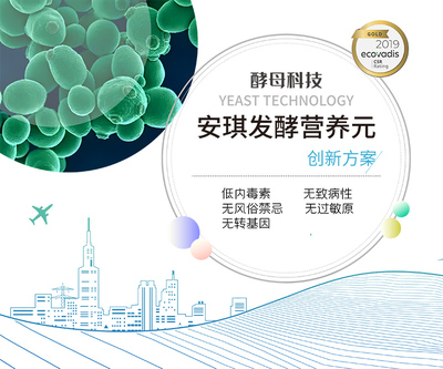 國際品質，進口替代 安琪發酵營養元引領生物制品創新方案